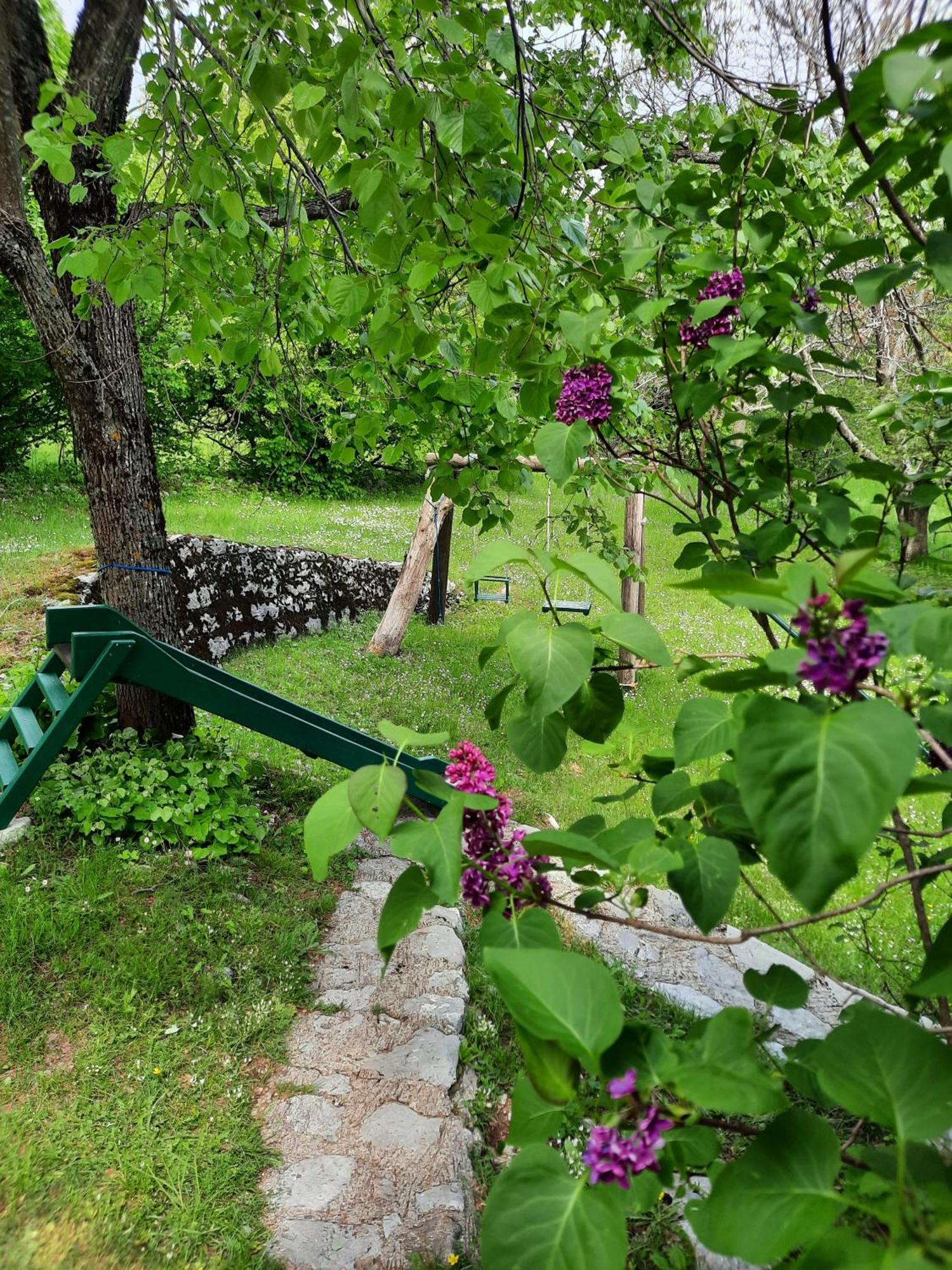 Lovcen4Me Villa Cetinje Ngoại thất bức ảnh
